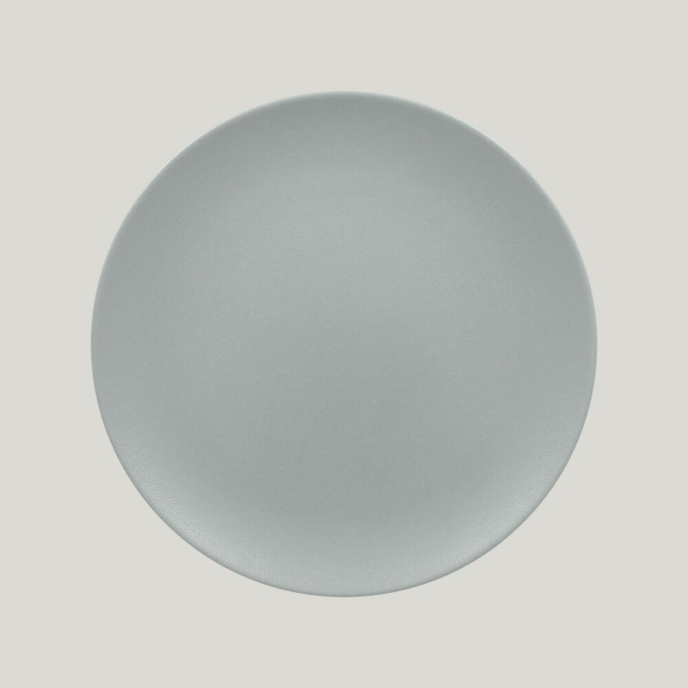 RAK Talíř mělký 29 cm, šedá | RAK-NFNNPR29PG