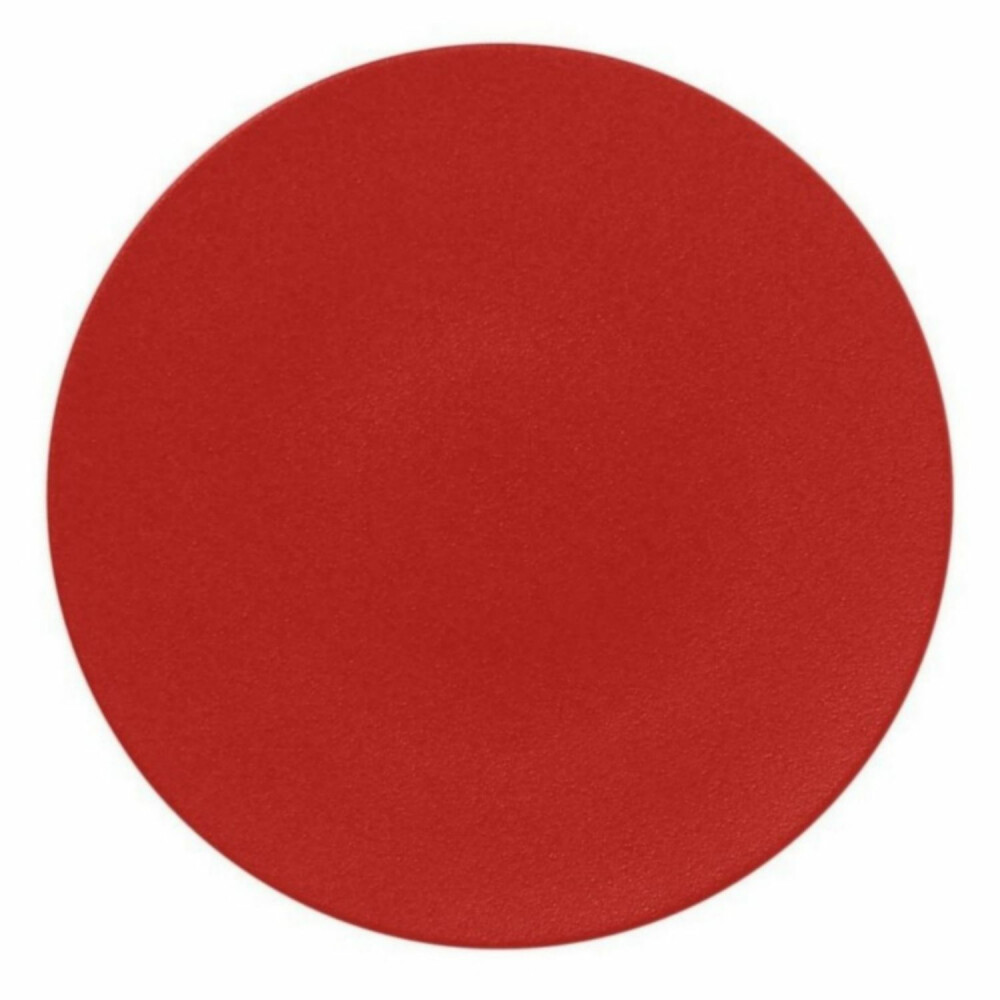 RAK Talíř mělký 29 cm, světle červená | RAK-NFSPCP29BR