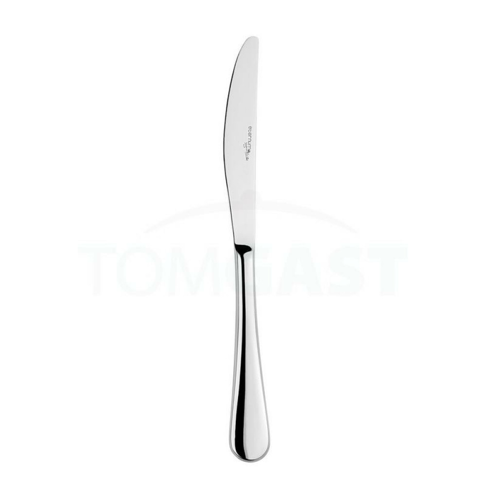 Nůž jídelní 23,8 cm