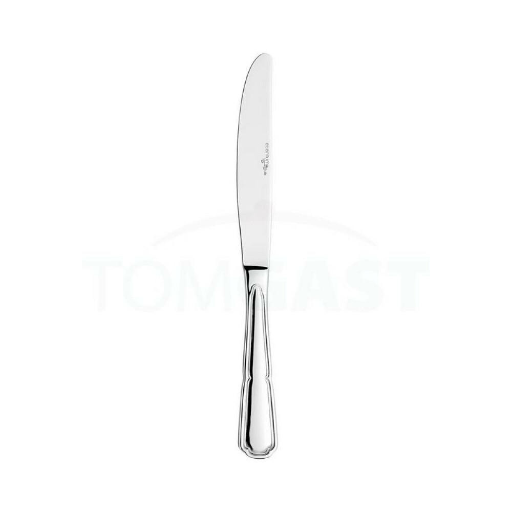 Nůž jídelní 24,4 cm