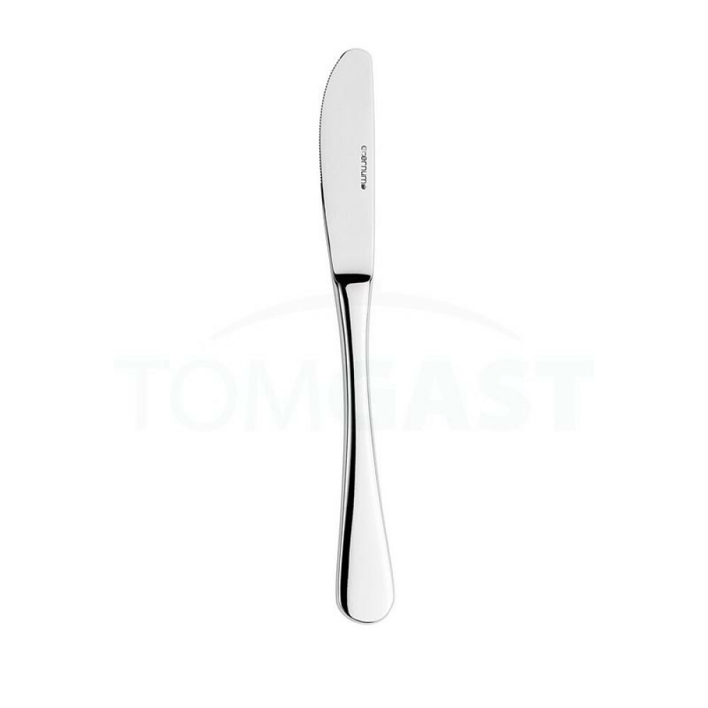 Nůž dezertní 18,8 cm
