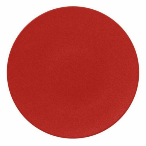 RAK Talíř mělký 29 cm, světle červená | RAK-NFSPCP29BR