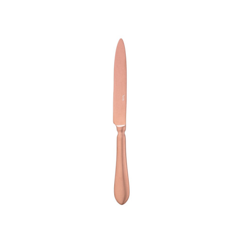 Destello nůž jídelní 23,8 cm
